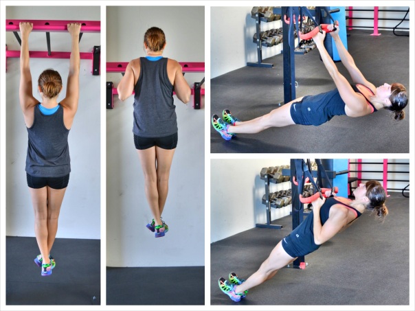 the pull up vs. the inverted row